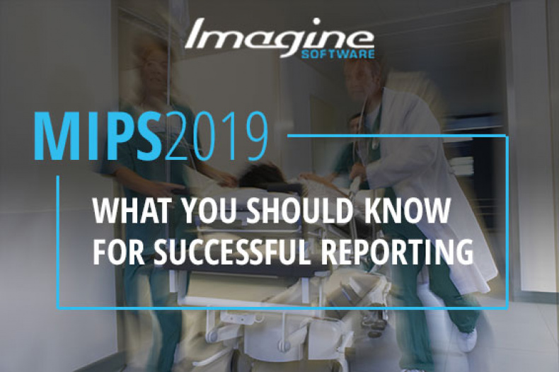 medicare mips 2019 reporting